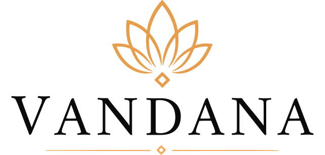 Vandana Stores